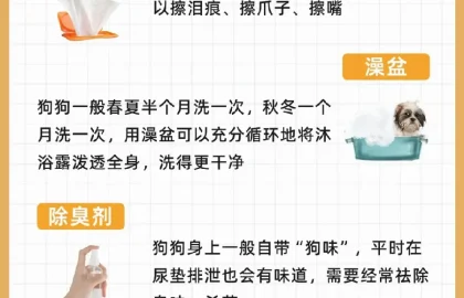 狗狗日常护理配图7