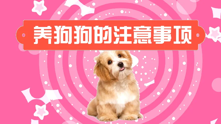 狗狗打呼噜正常吗？睡眠呼吸的学问示例图