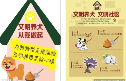 狗狗养狗答疑配图4