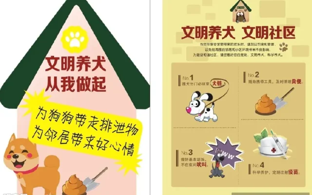 狗狗养狗答疑配图4