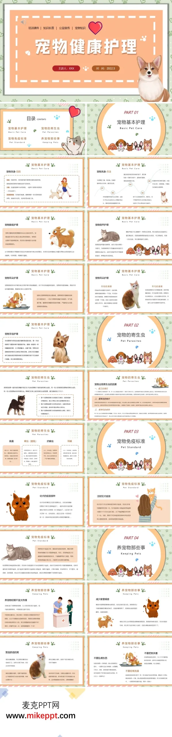 狗狗的睡眠与休息环境：好睡眠才有好精神示例图