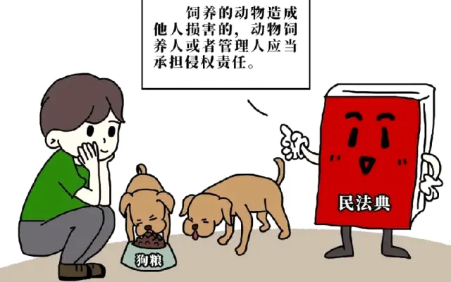 狗狗养狗答疑配图2