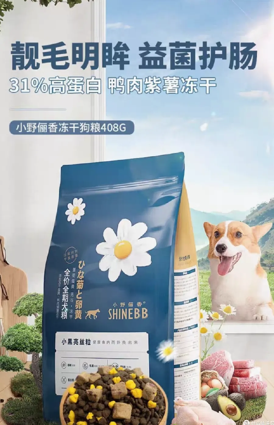 狗粮适口性怎么看？狗狗不爱吃的真正原因示意图