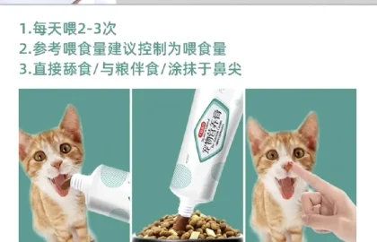狗狗日常护理配图4