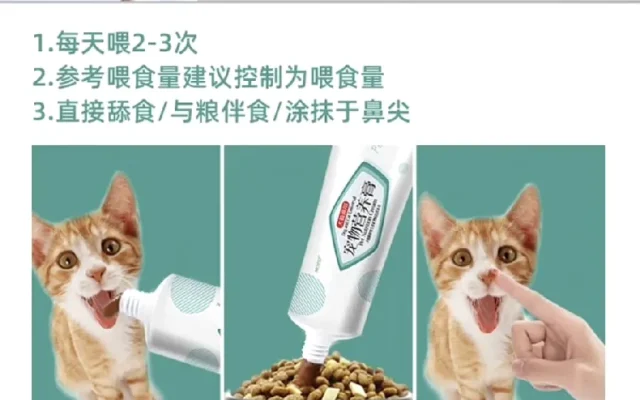 狗狗日常护理配图4