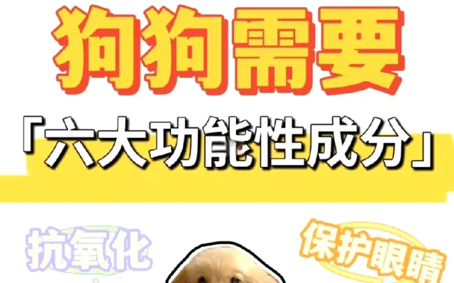 狗狗狗狗健康配图4
