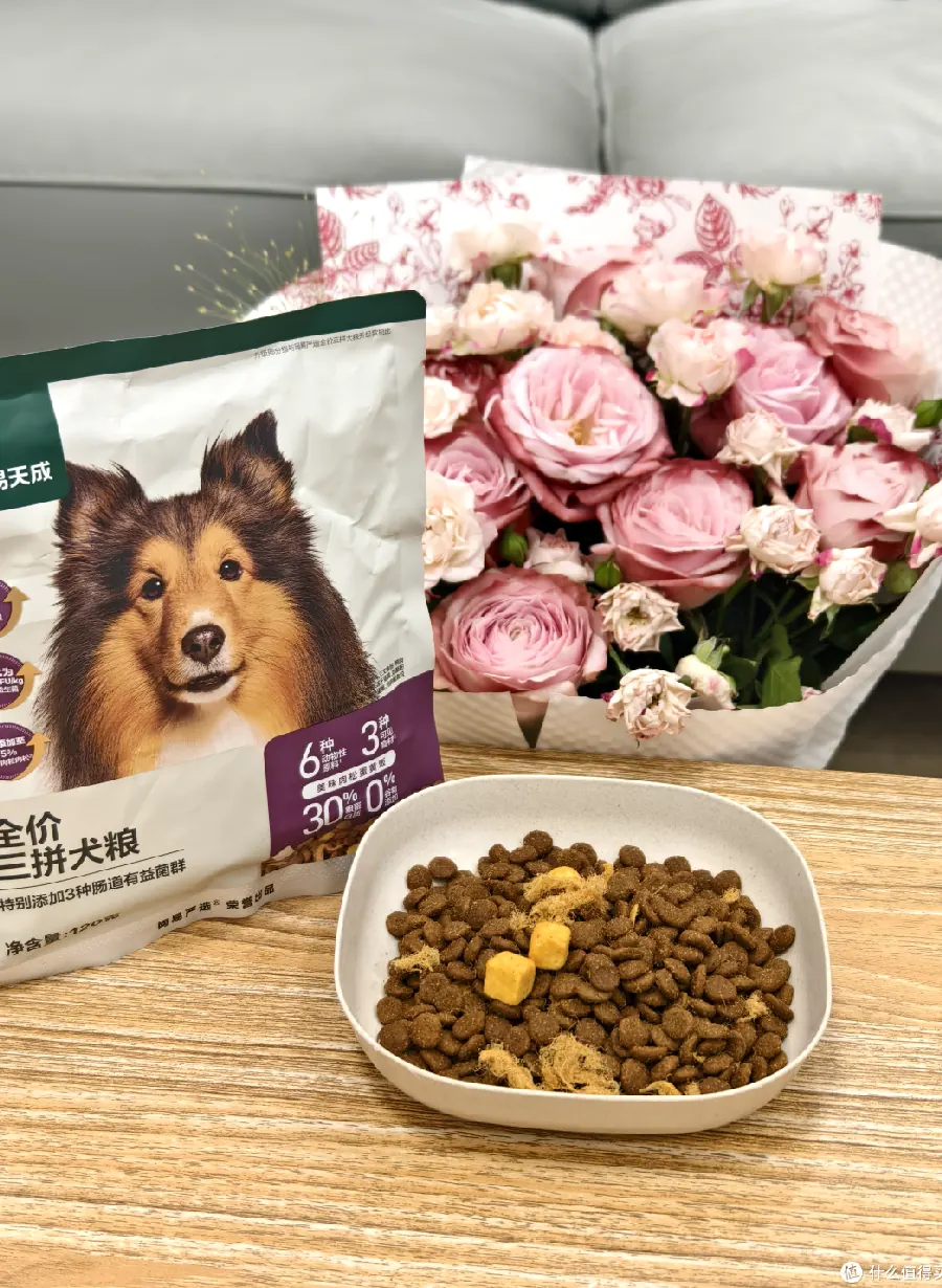狗狗能吃鸡蛋吗？鸡蛋的营养与喂法示例图