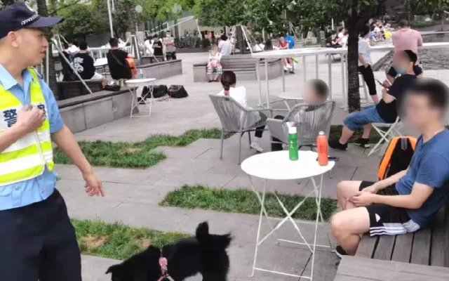 狗狗养狗答疑配图5