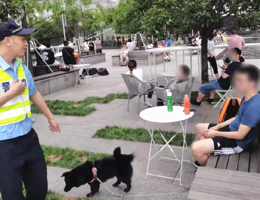 狗狗养狗答疑配图5