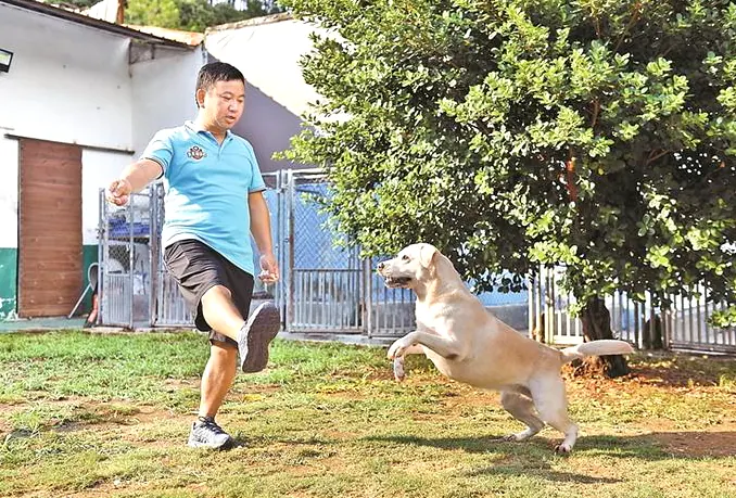 狗狗训犬配图2
