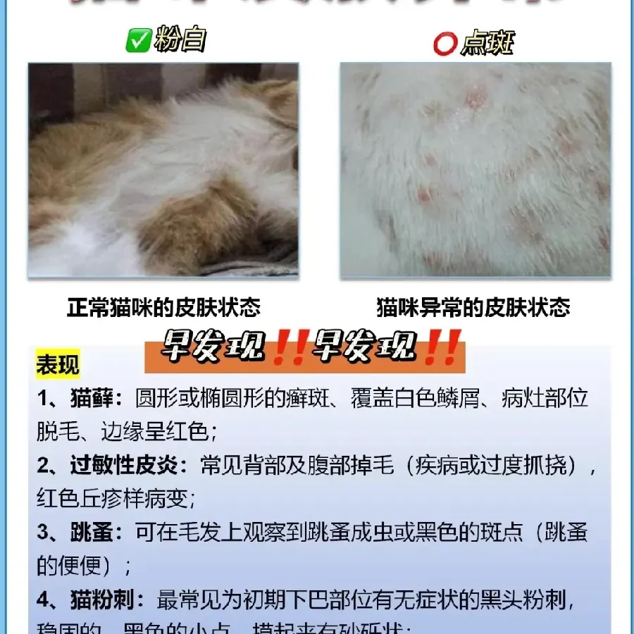 狗狗养狗答疑配图13