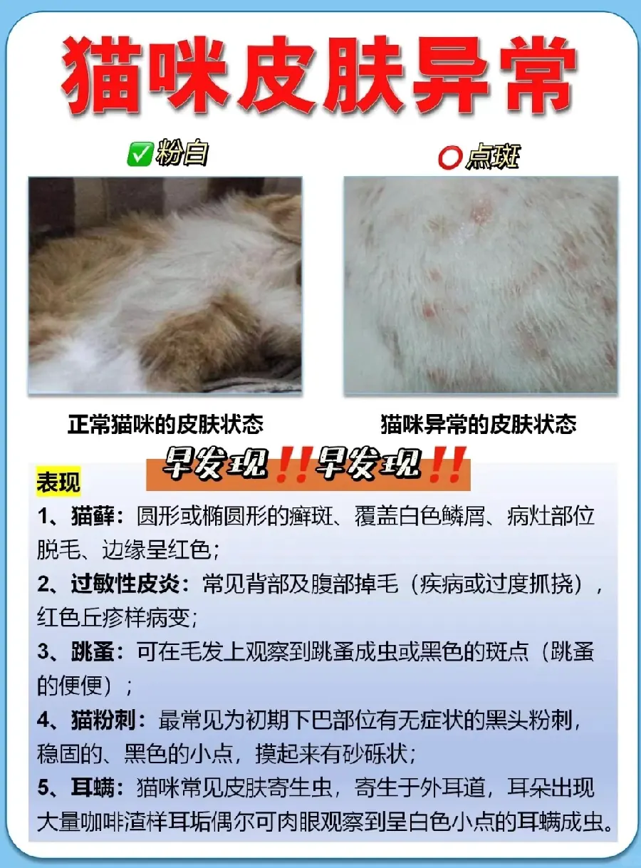 狗狗放屁多正常吗？肠胃与饮食的信号示例图
