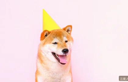 拉布拉多和金毛怎么选？两大热门犬种的全面对比