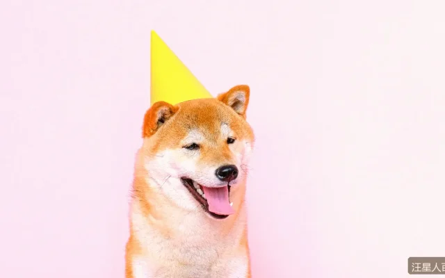 拉布拉多和金毛怎么选？两大热门犬种的全面对比