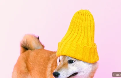 法斗为什么呼吸声大？短鼻犬种的健康风险要知道
