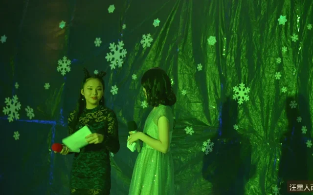 幼犬社会化黄金期：三个月前要做的5件事